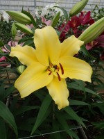 [5606 VH36 No02.JPG]